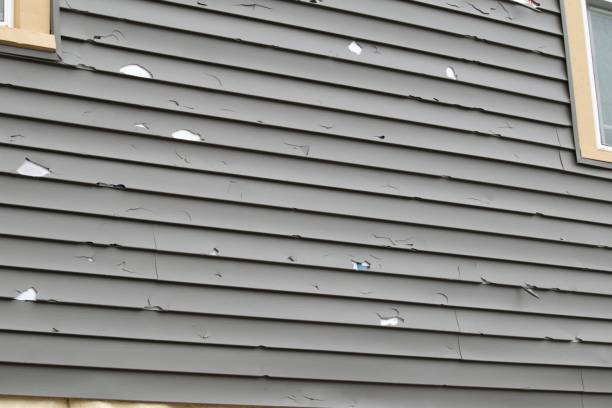 Best Insulated Siding Installation  in Rome, GA